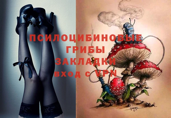 твердый Кулебаки