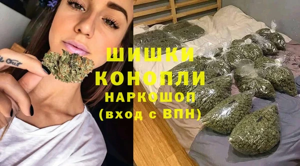 твердый Кулебаки