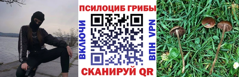 Псилоцибиновые грибы ЛСД  Купить закладки  Дзержинск 